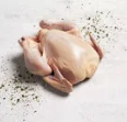 Pollo entero limpio